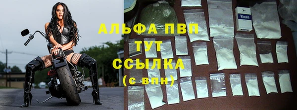 винт Магас